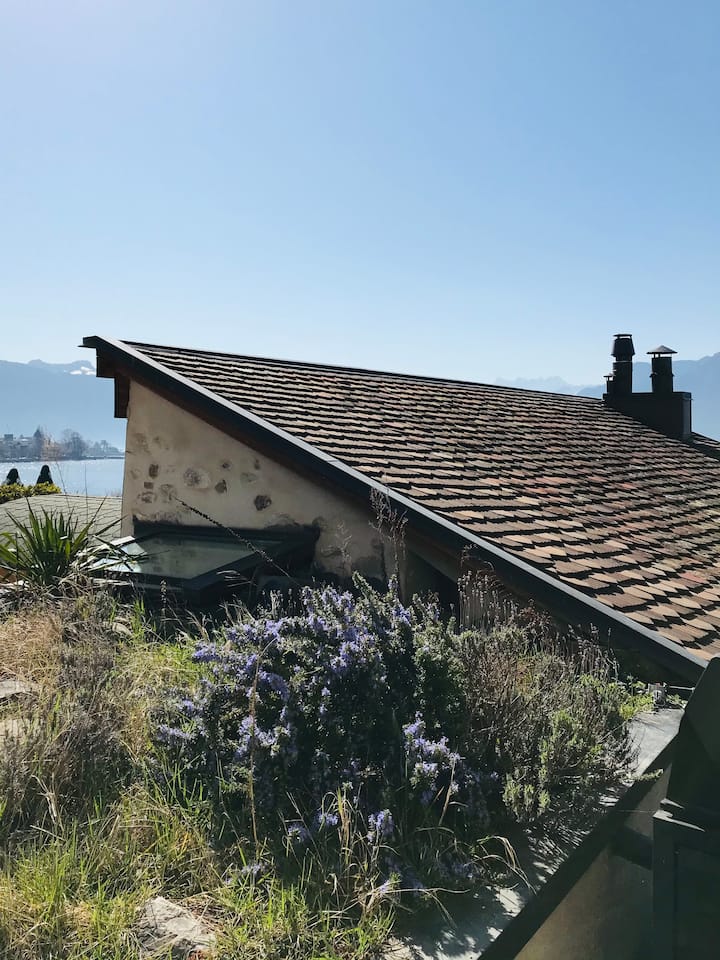 Studio Avec Terrasse Sur Le Lac - Montreux