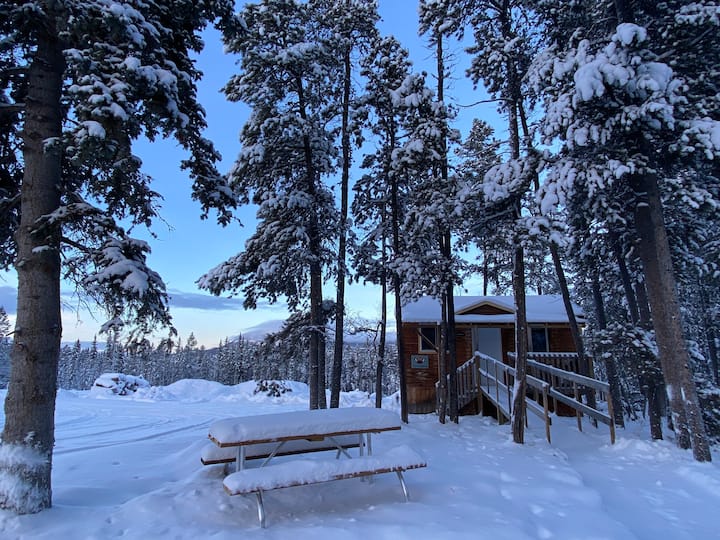 The Moose: Cozy Cabin With Northern Lights Views - Yukon