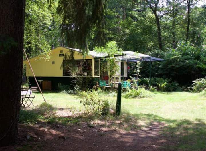 The Hut: Your Artistic Place In Nature - Assen
