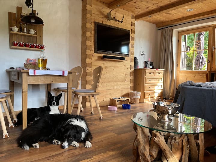 Hunde Willkommen Alpensuite Bergsonne - Inzell