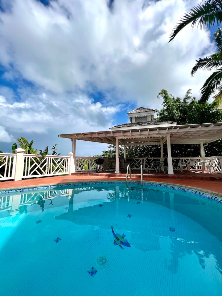 Coconut Hideaway Villa At Rodney Heights - Santa Lucia