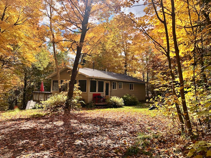 Secluded 10 Acre Cottage W/ Canoes, Kayaks & Fun! - Algonquin Provincial Park