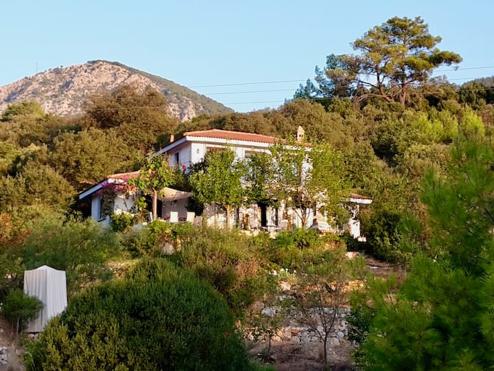 The Lazy Olive (Tembel Zeytin), A Lovely Private Villa - Çıralı
