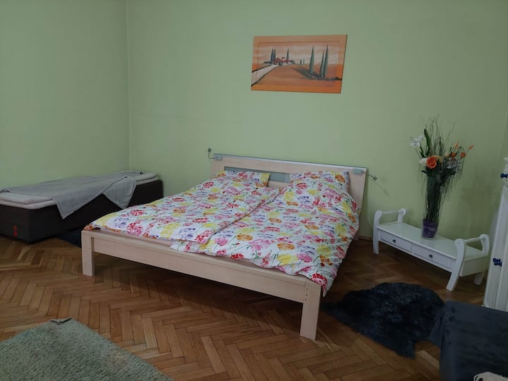 Cosy, Quiet Apartment Close To The City Center - Mureș