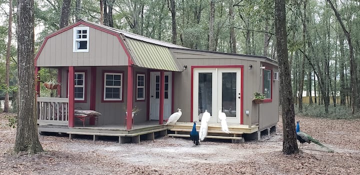 Rustic Farm Cabin, Romantic, Secluded, & Private. - Jasper, FL
