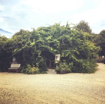 Wisteria Hideaway In Brewster, Cape Cod - Cape Cod Rail Trail, Brewster