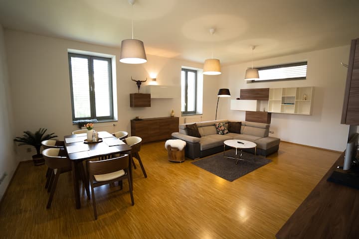 Design Apartment At Villa Tugendhat - Brno