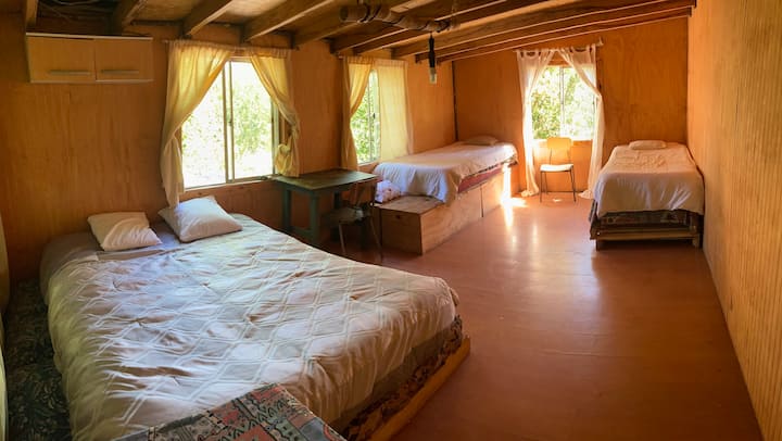 Camping, Dormis, Refugio La Escondia - Chaitén