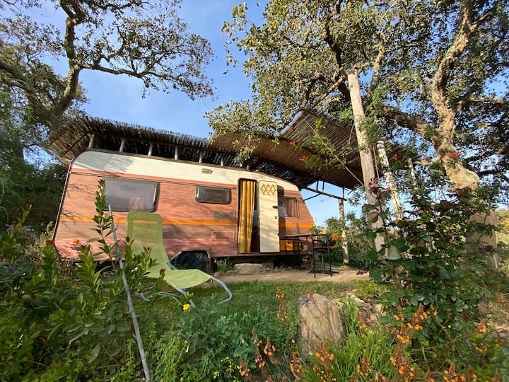 Caravan For Remote Work In Portugal - Ourique