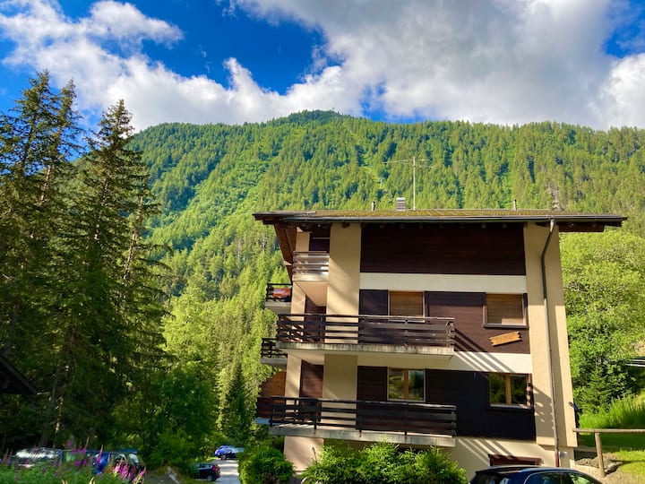 Charming And Quiet Apartment In Champex-lac - Champex-Lac