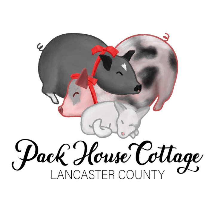 Pack House Cottage Lancaster 2 Bed 2 Bath Sleep 6 - Kirkwood, PA