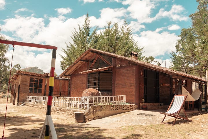 Cabin In Private Pine Forest - San Martín