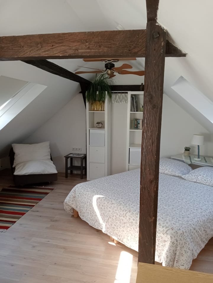 Nice: Under The Roof With Bathroom! - Ulm