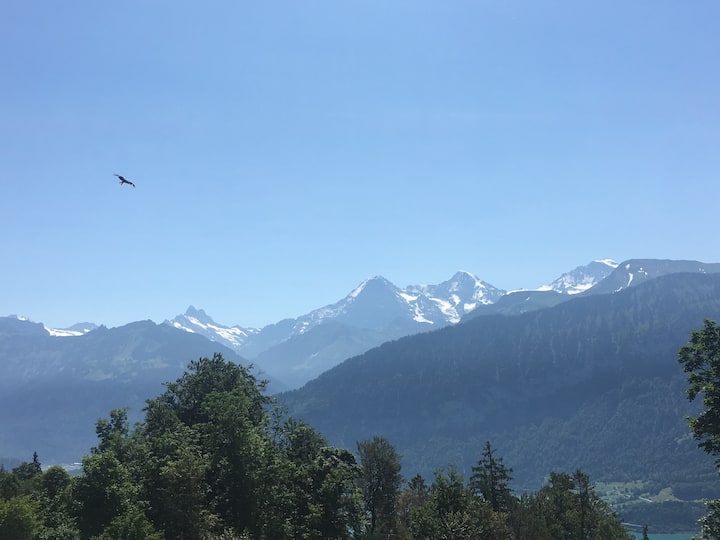 Stunning Views From Top Of Interlaken "El Mirador" - Krattigen