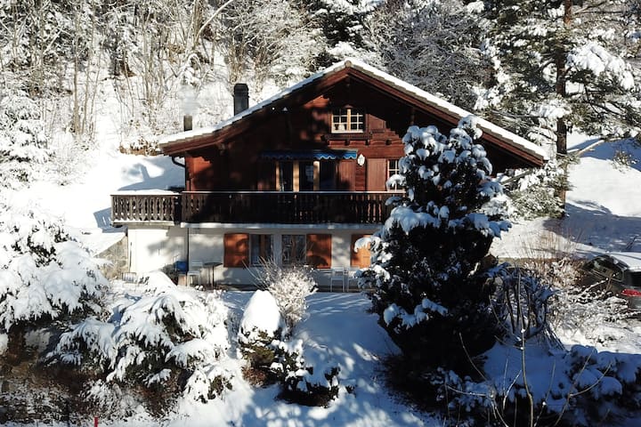 Lovely 4 Bedr. Chalet Slope At 150m - Aigle