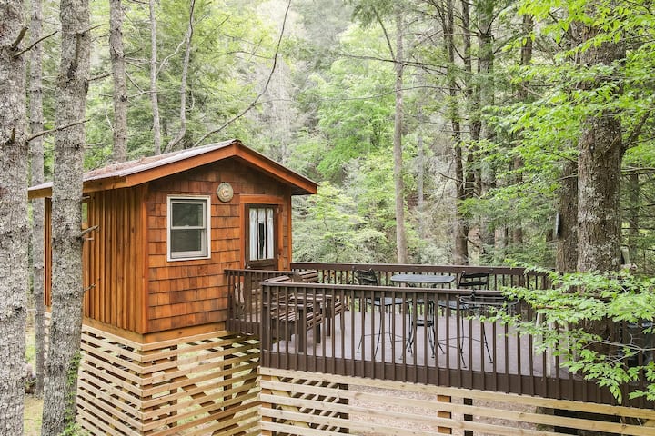 Riverbright Treehouse-suches June 25 Toccoa River* - Suches, GA
