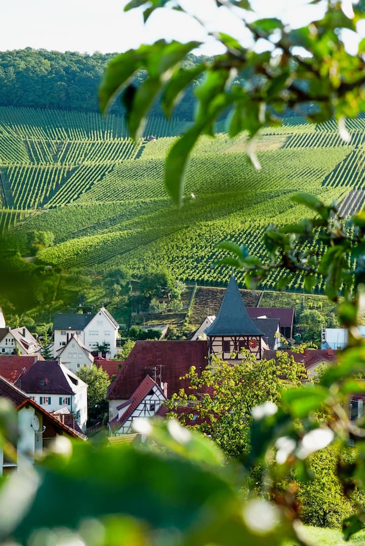 Loft Room In Beautiful Wine Village - Weinstadt
