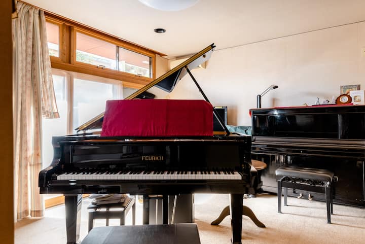 Musicians Friendly!! With 2 Pianos＆soundproof-room - 고쿠분지시