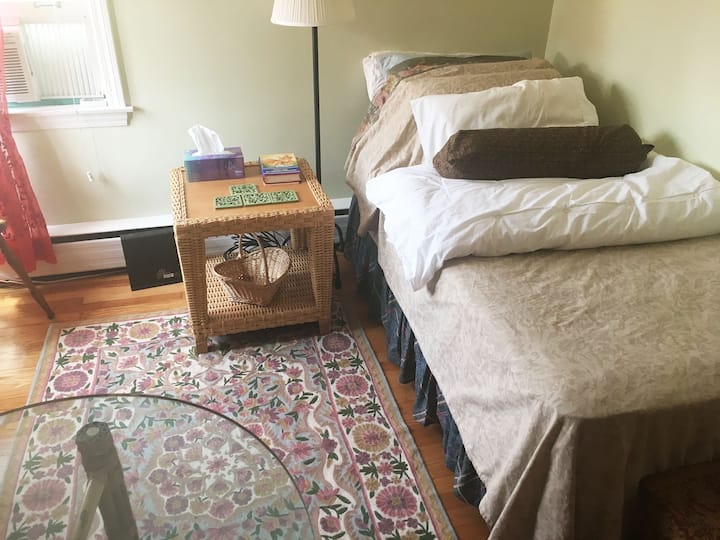 Bright Sunny Private/guest Bedroom. Females Only. - Chicago