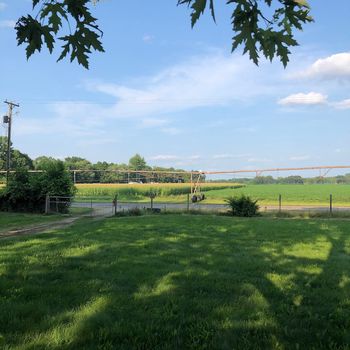 Searching cheap apartment in Constantine, MI? Try cozycozy!