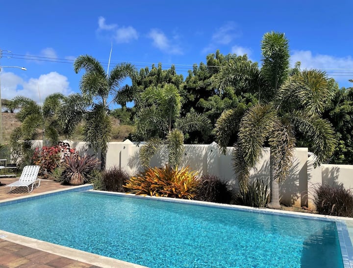 Incredibile Villa 5 * - A / C - Piscina - Wifi - Bbq - Costa Meridionale - Barbados