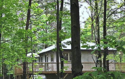 Cabin On Wooded Ridge, Stair Free, Pet Friendly - Hocking Hills State Park, OH