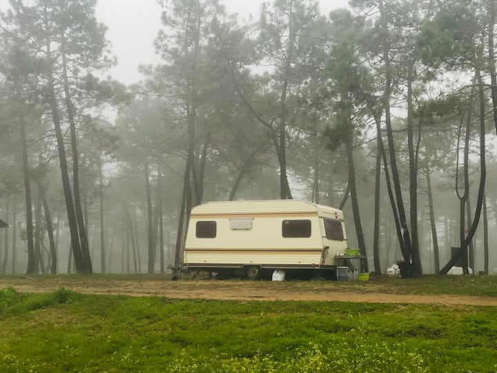 Caravan Life Experience - Altura, Portugal