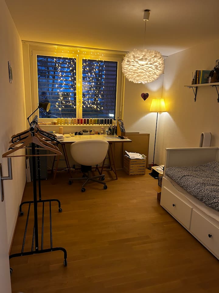 Cozy Room In Lucerne - スイス ルツェルン
