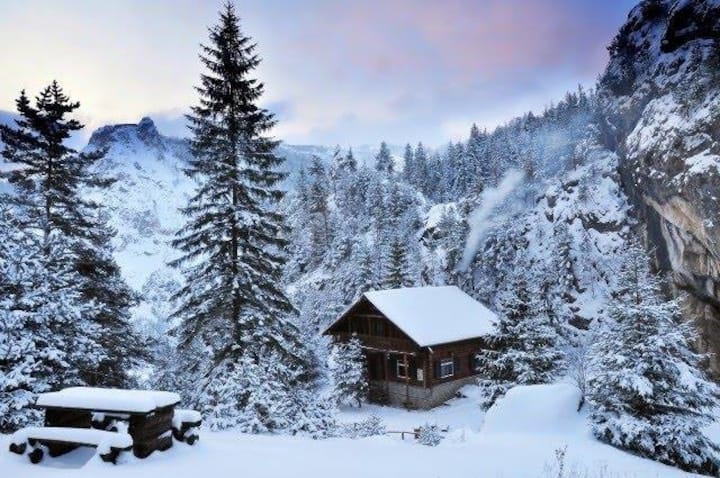 Ecolog Alpine Hut - Bicaz-Chei