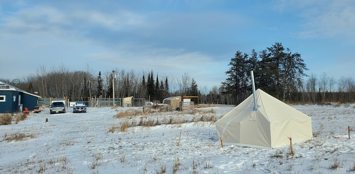 Winter Camping With Sled Dogs - Timmins