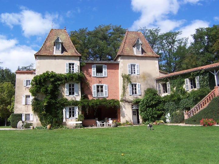 Auvergne Large Character House - Thiers