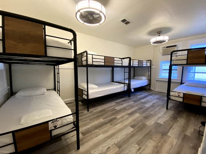 Shared 8 Bed Mixed Gender Dorm Room - Maui, HI