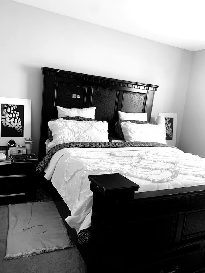 Beautiful King Bed Well-kept, Quiet Apt.near Dc&md - Alexandria, VA