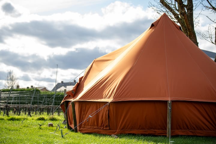 Camping De Boomgaard - Tente Cloche 4p - Maaseik