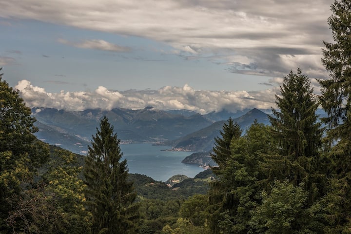 Chalet Bellagio Private Wood, Lake Views, Privacy - Lake Como