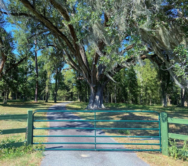 Tree Tops Estate On Lake Seminole - Seminole State Park, Donalsonville