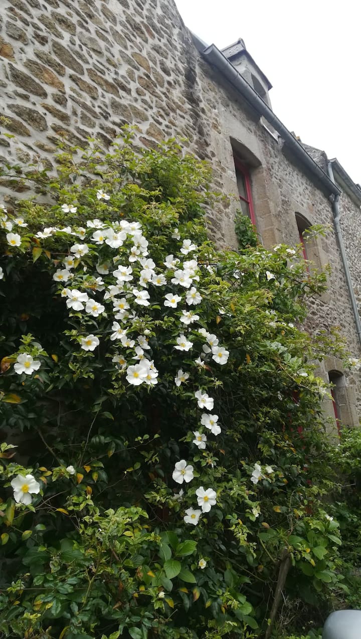 Maison Saint Briac Sur Mer - Pleurtuit
