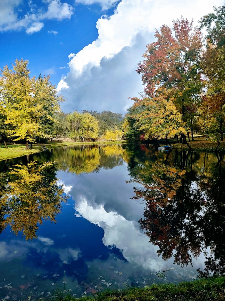 Discover Fishing, Lake & Trees - Auburn