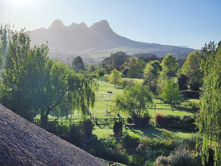 The Thatch Suite (Acara) Solar Backup - Somerset West