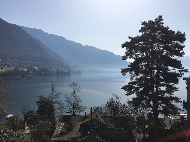 Lakeview Paradise At Residence Du National - Montreux