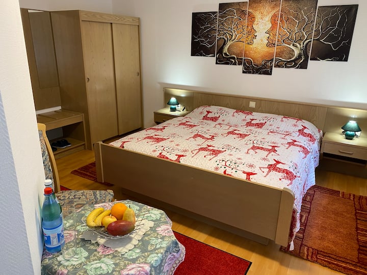 Design Double Room | Hotel Bielatal - Olbernhau