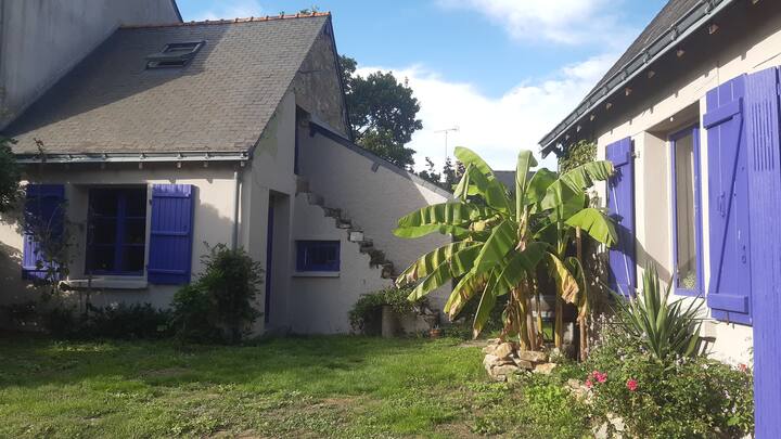 Petite Maison En Brière - La Roche-Bernard