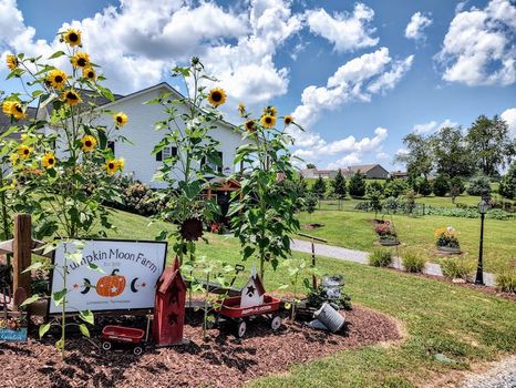 Brights Zoo, Limestone airbnb, hotels and vacation rentals