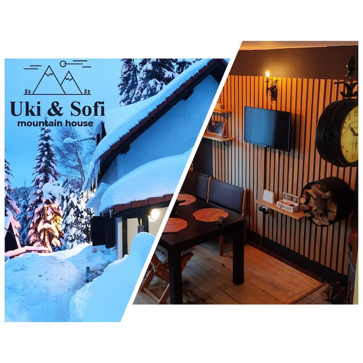 Uki & Sofi Mountain House -Apartment Uki - Kopaonik