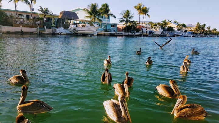 ¡Casa Frente Al Agua Con 37 Pies De Espacio De Atraque En Un Canal Prístino Extra Ancho En Kcb! - Key Colony Beach, FL