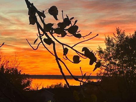 Cabins in Lac la Biche via cozycozy