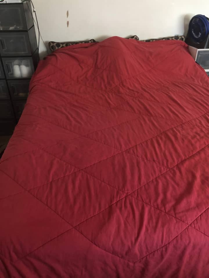 Affordable Room Close To Campus - Champaign, IL