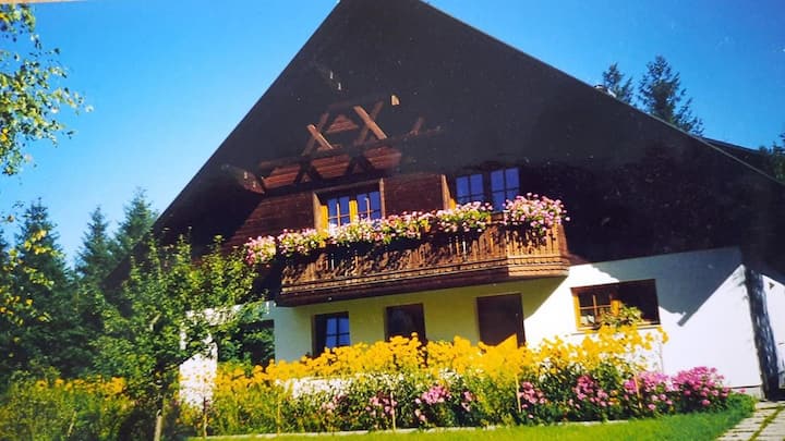 Haus Annaburg - Mariazell