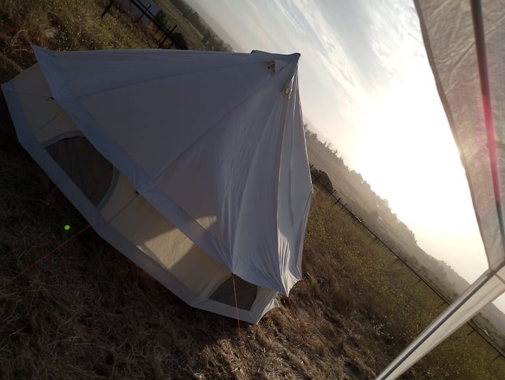 Eco Gr33n Nomad Camping - Concón