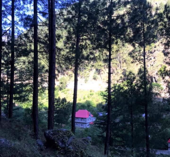 The Orchard - Manali